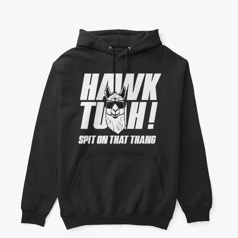 Hawk Tuah Llama