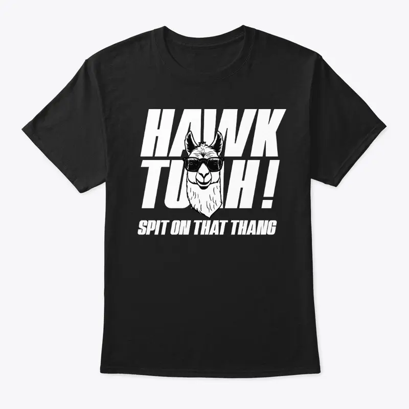 Hawk Tuah Llama